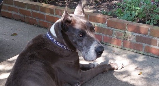 Jackson from the front!